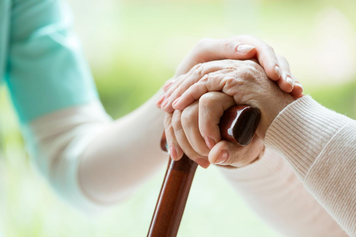 What Types of Therapies Are Offered in Medical Rehab Facilities for the Elderly?